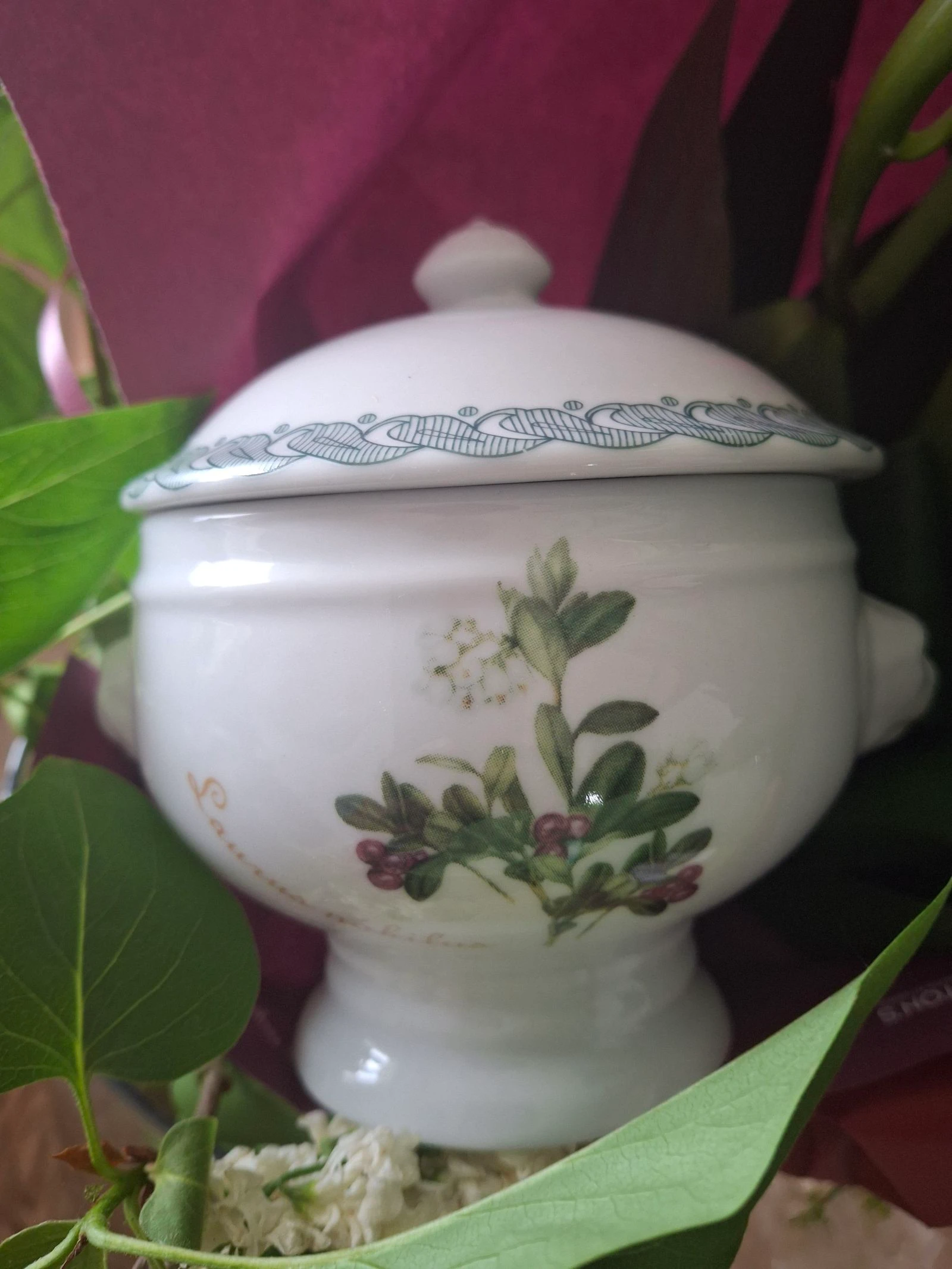 Stunning Miniature Soup Bowl Italian Porcelain Spice Pot Botanical Pattern – photo 3